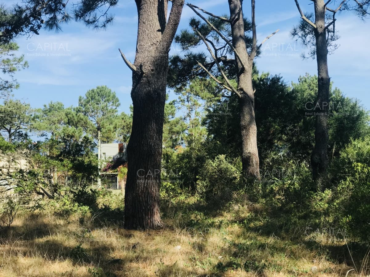 Venta terreno esquinero en Manantiales