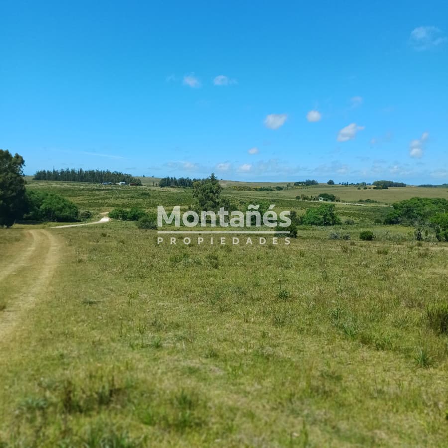 Chacra ID.10478 - 🌄 Chacra en alto con vistas y cañada | A 30 min de Punta del Este