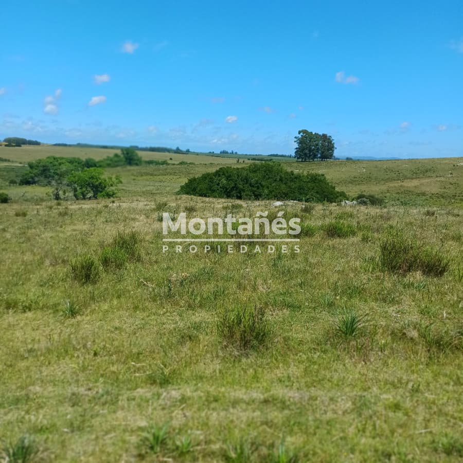 Chacra ID.10478 - 🌄 Chacra en alto con vistas y cañada | A 30 min de Punta del Este