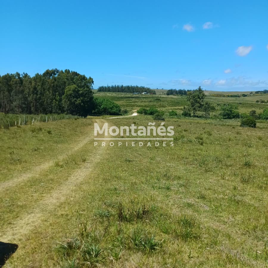Chacra ID.10478 - 🌄 Chacra en alto con vistas y cañada | A 30 min de Punta del Este