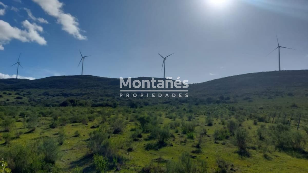Chacra ID.10388 - 🌄 Chacra con vista 360° entre San Carlos y Aiguá