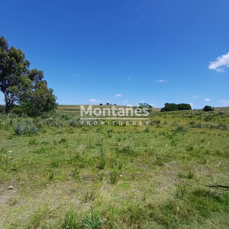 Chacra ID.10478 - 🌄 Chacra en alto con vistas y cañada | A 30 min de Punta del Este