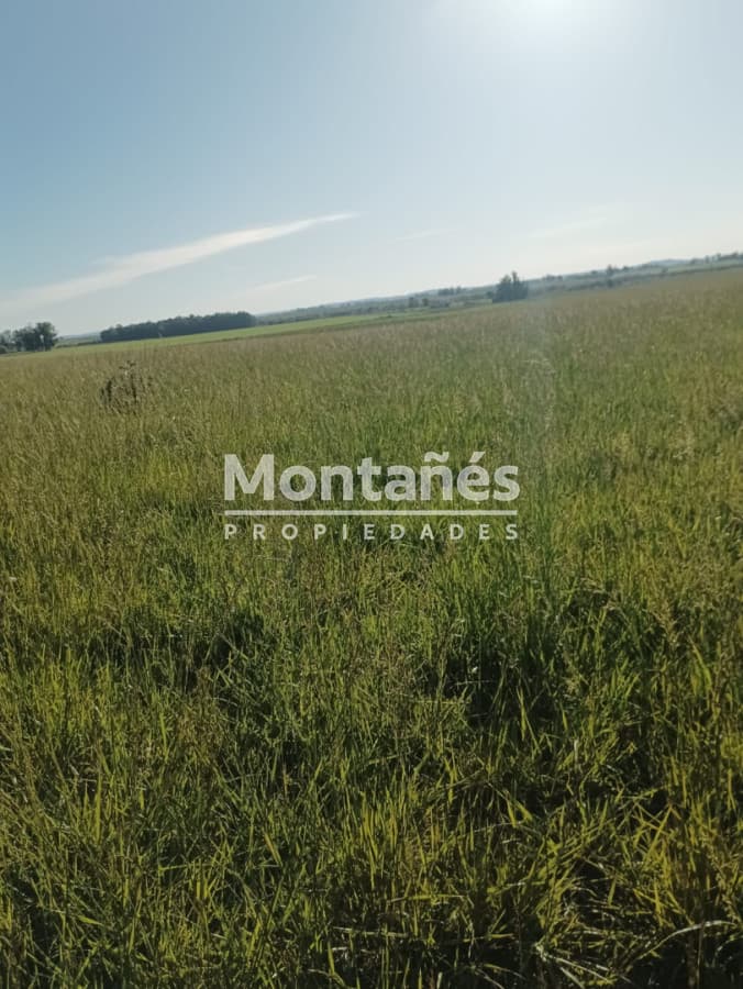 VENTA 110 hectáreas estratégicas en Maldonado