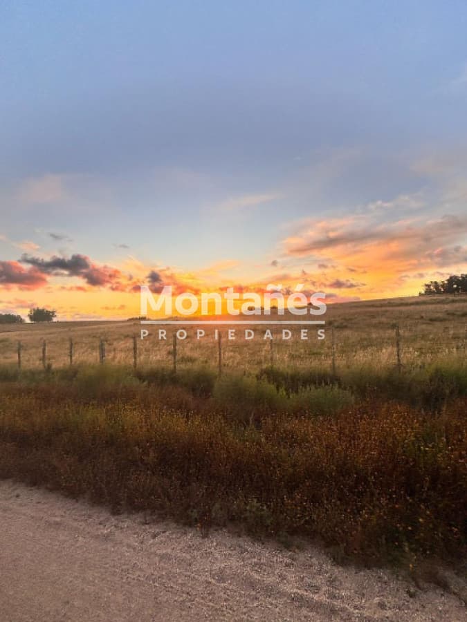 Hermoso campo de 21 hectares  con Excelente Ubicación