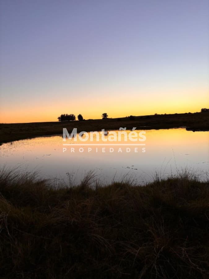 Hermoso campo de 21 hectares  con Excelente Ubicación