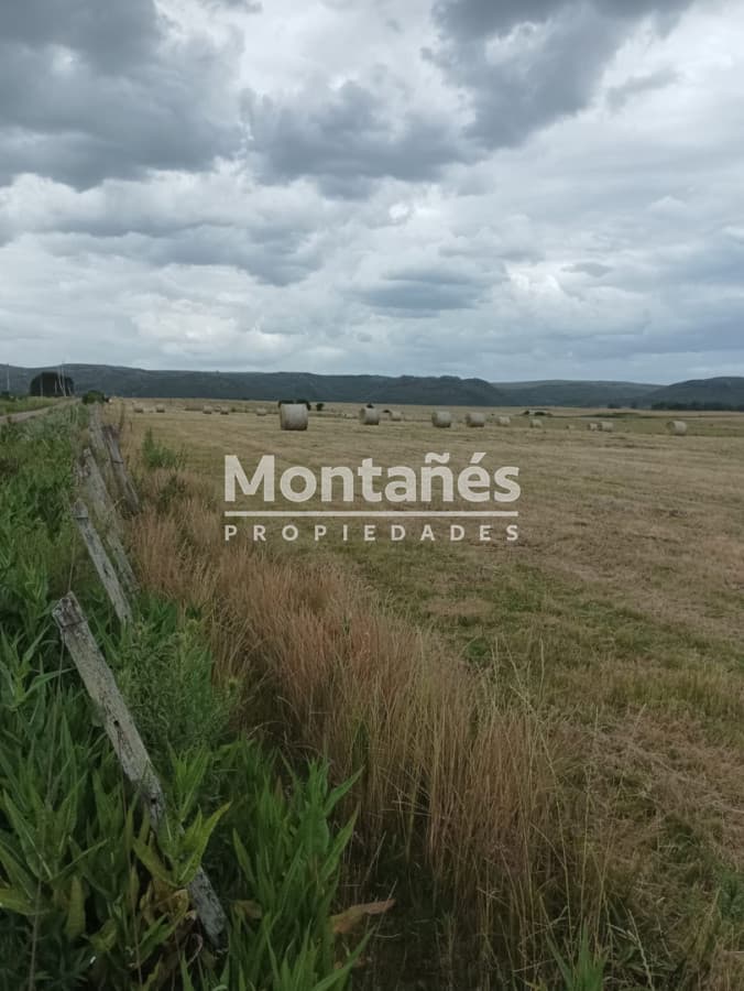VENTA 110 hectáreas estratégicas en Maldonado
