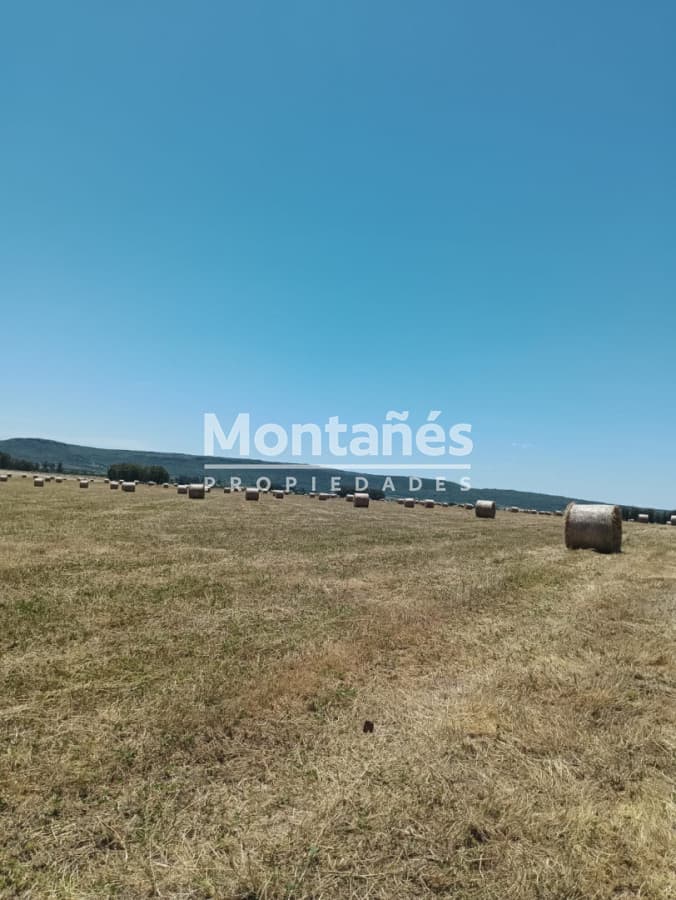 VENTA 110 hectáreas estratégicas en Maldonado