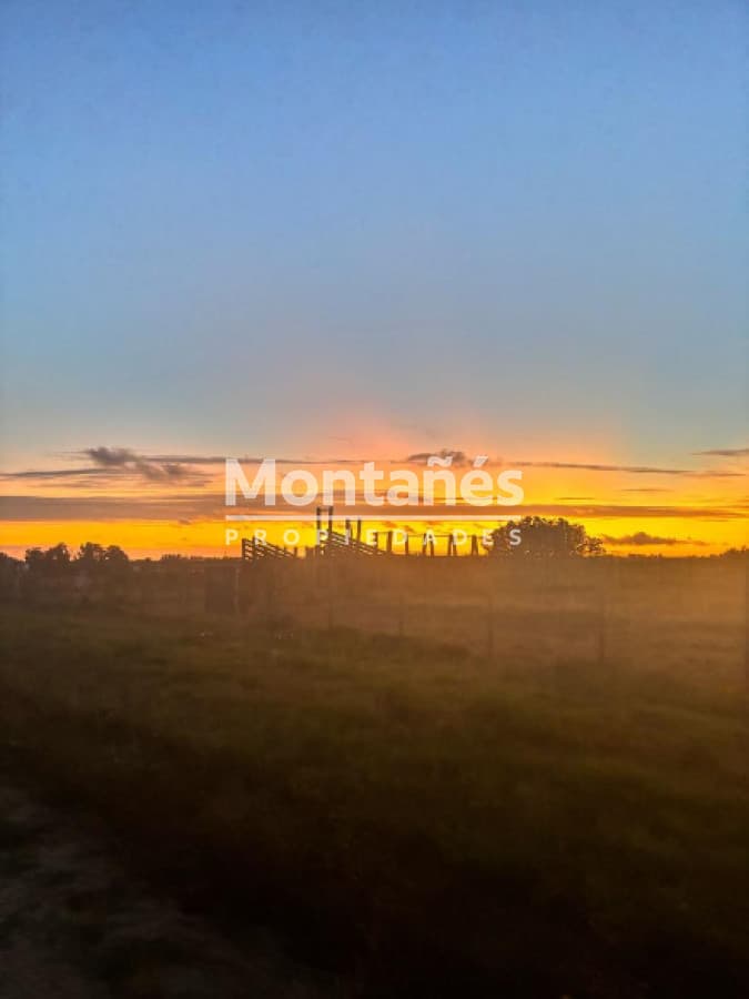 Hermoso campo de 21 hectares  con Excelente Ubicación