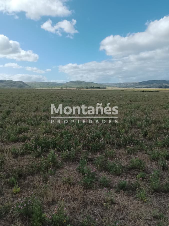 VENTA 110 hectáreas estratégicas en Maldonado