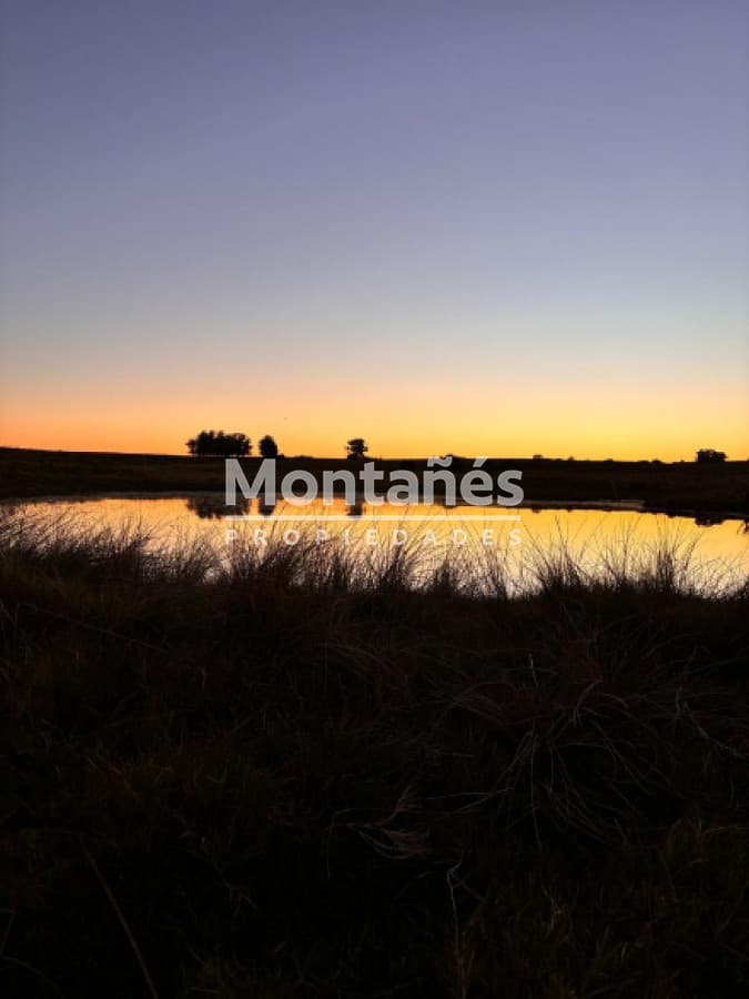 Hermoso campo de 21 hectares  con Excelente Ubicación