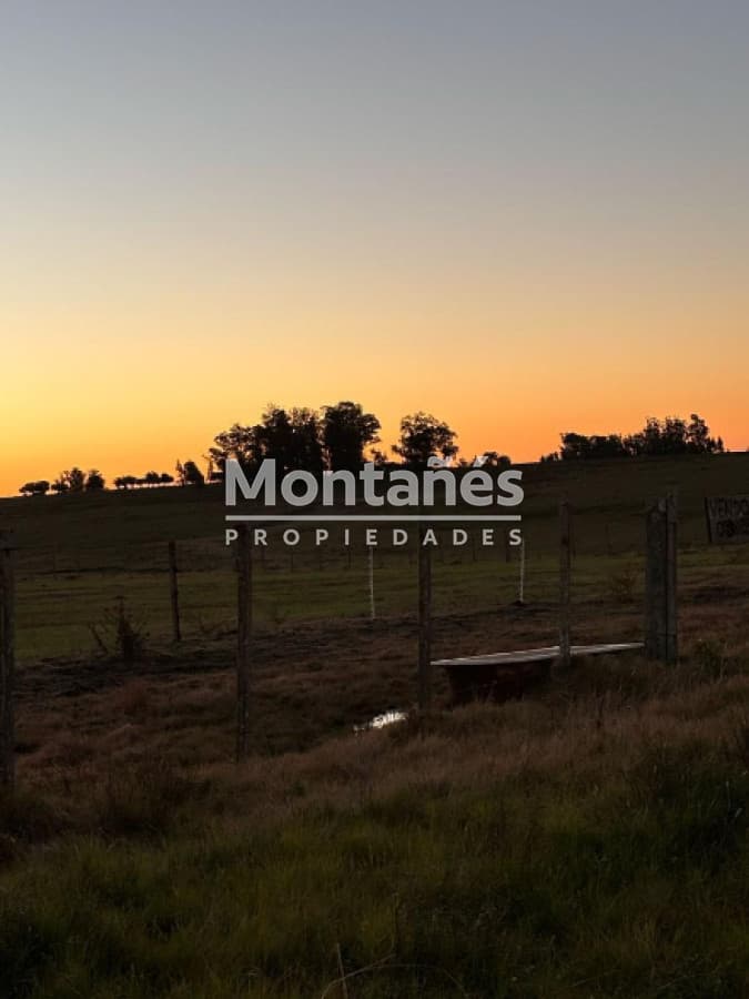 Hermoso campo de 21 hectares  con Excelente Ubicación