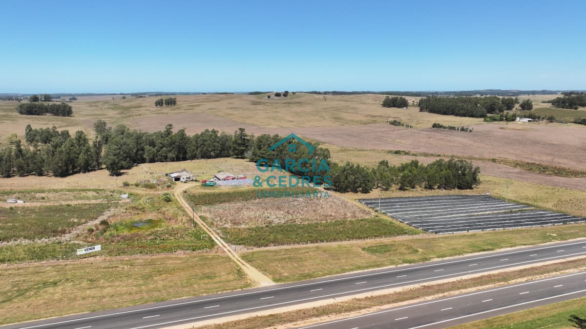 VENTA 59 Hectáreas sobre Ruta 9 con Vista a José Ignacio.