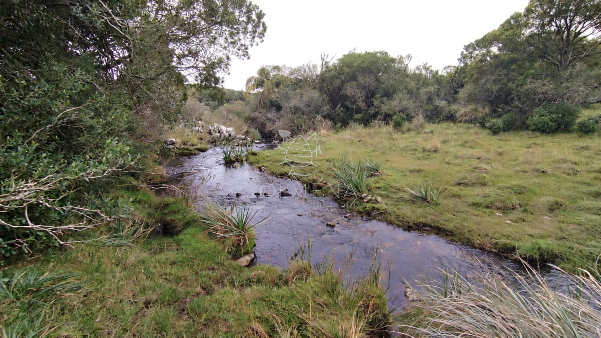 Campo de 80 hectáreas en la zona del Cerro Catedral
