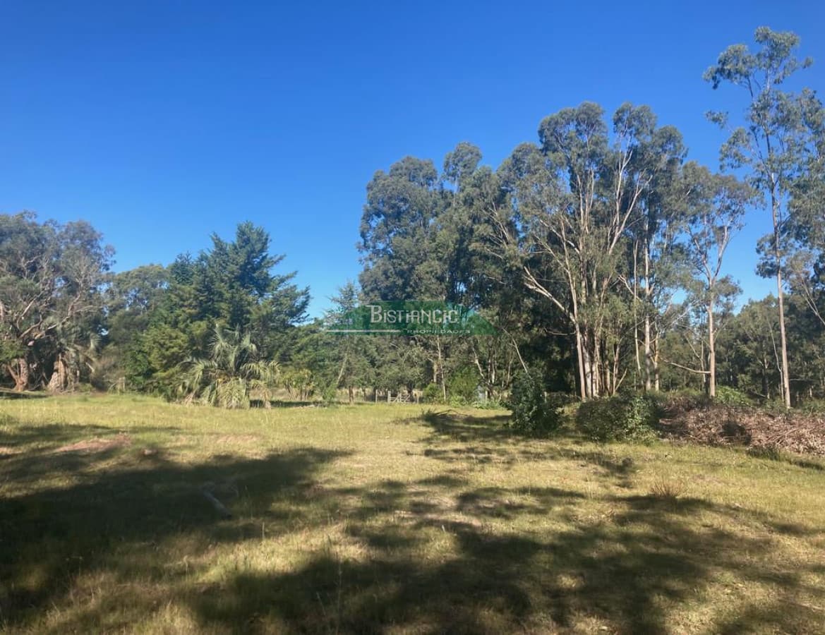 Chacra Punta Ballena, 4,5 hect casa 350m2,  665000