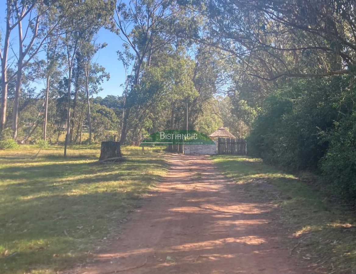 Chacra Punta Ballena, 4,5 hect casa 350m2,  665000