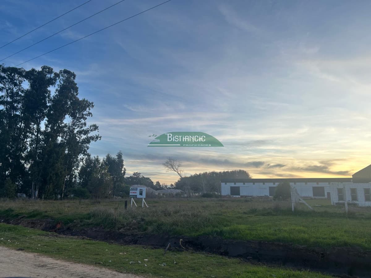 Terreno frente a Ruta 39, de 4370 m2, zona logística, galpones, empresas, etc. Venta US$ 437000.