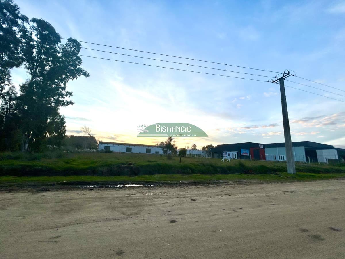 Terreno frente a Ruta 39, de 4370 m2, zona logística, galpones, empresas, etc. Venta US$ 437000.