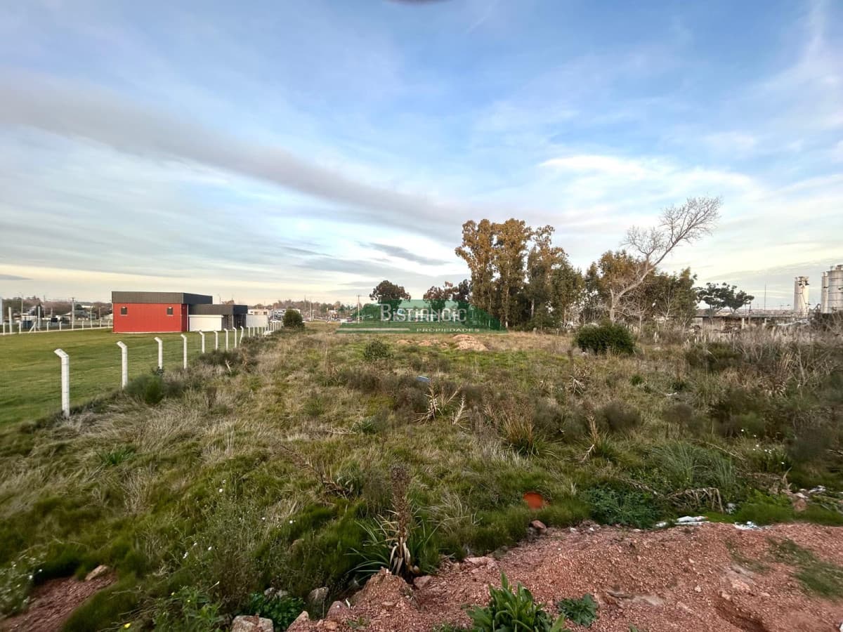Terreno frente a Ruta 39, de 4370 m2, zona logística, galpones, empresas, etc. Venta US$ 437000.