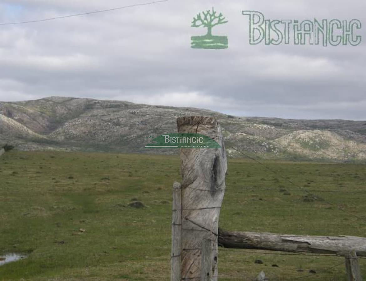 Campo en ,