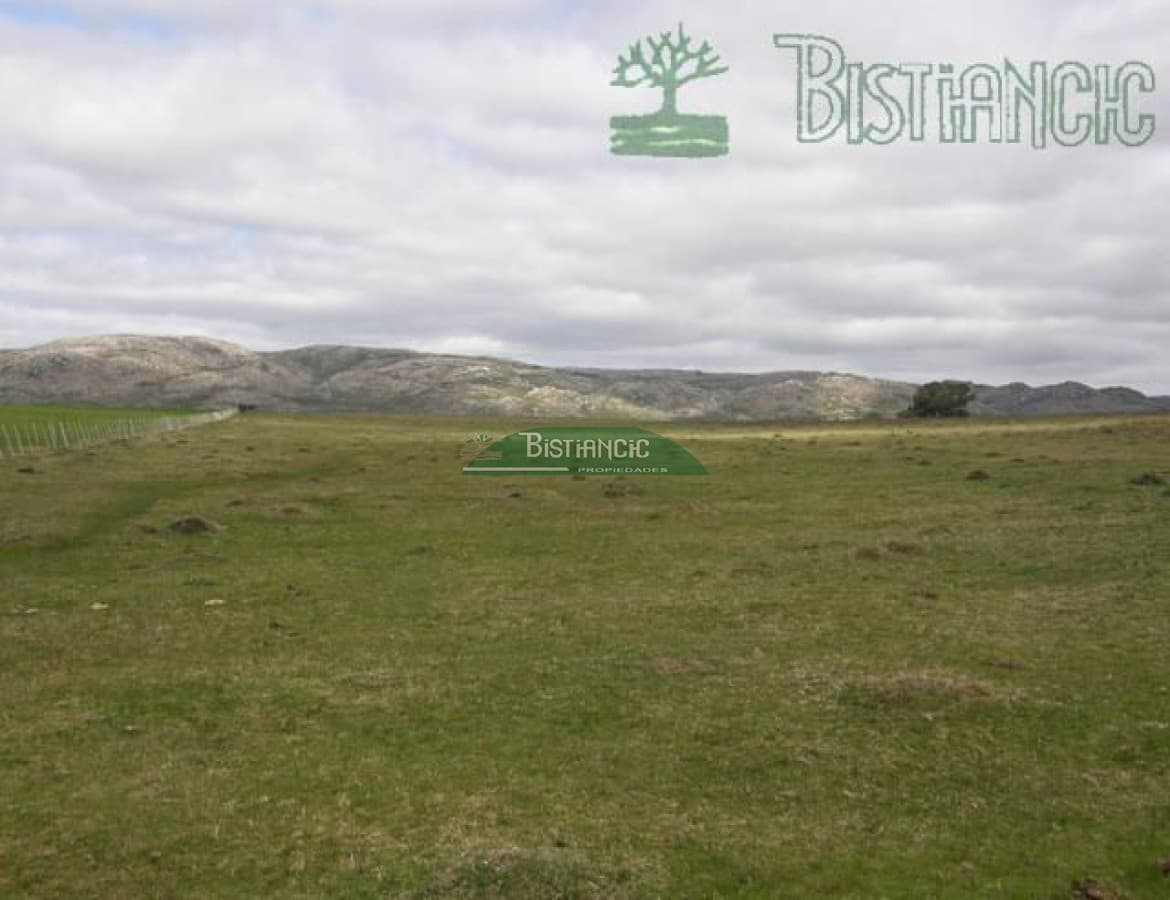 Campo en ,