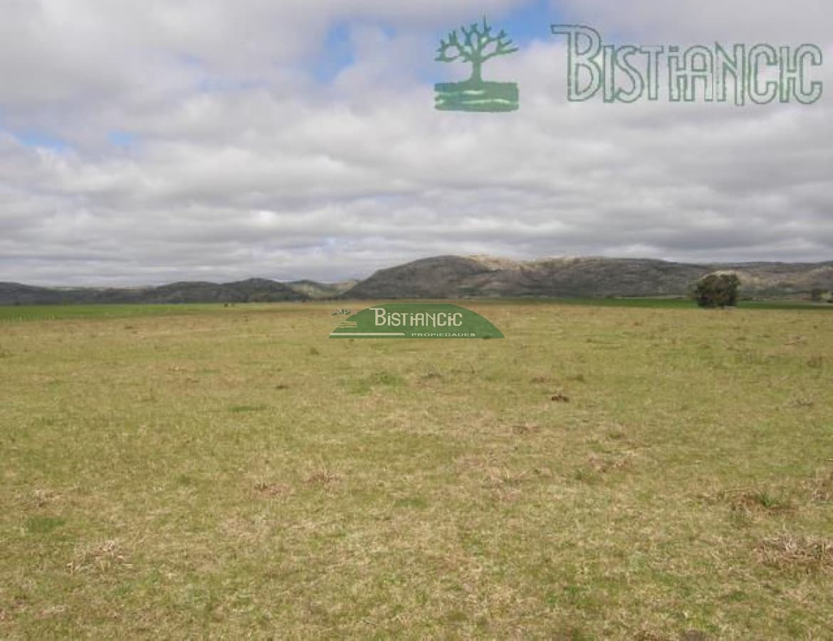 Campo en ,