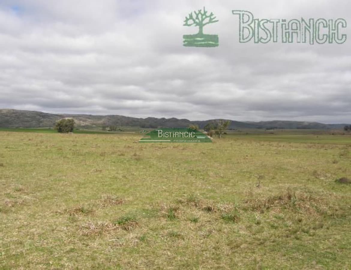 Campo en ,