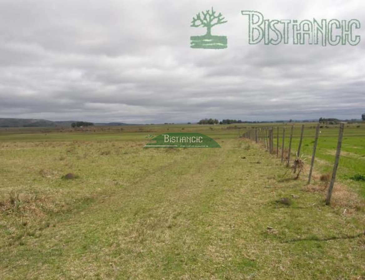 Campo en ,