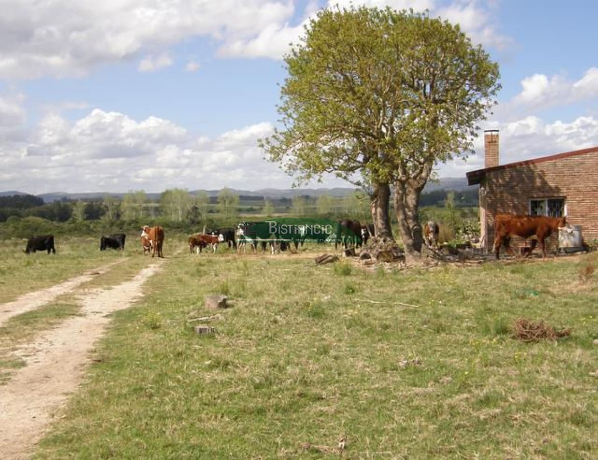 Campo en ,