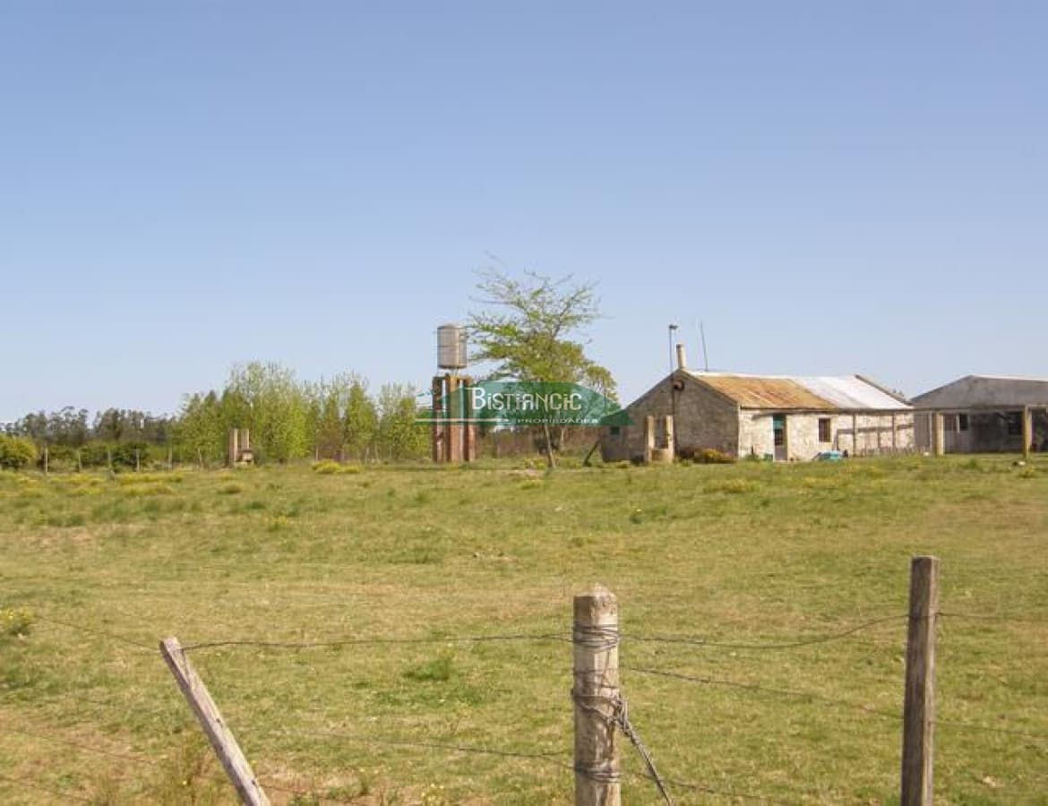 Campo en ,