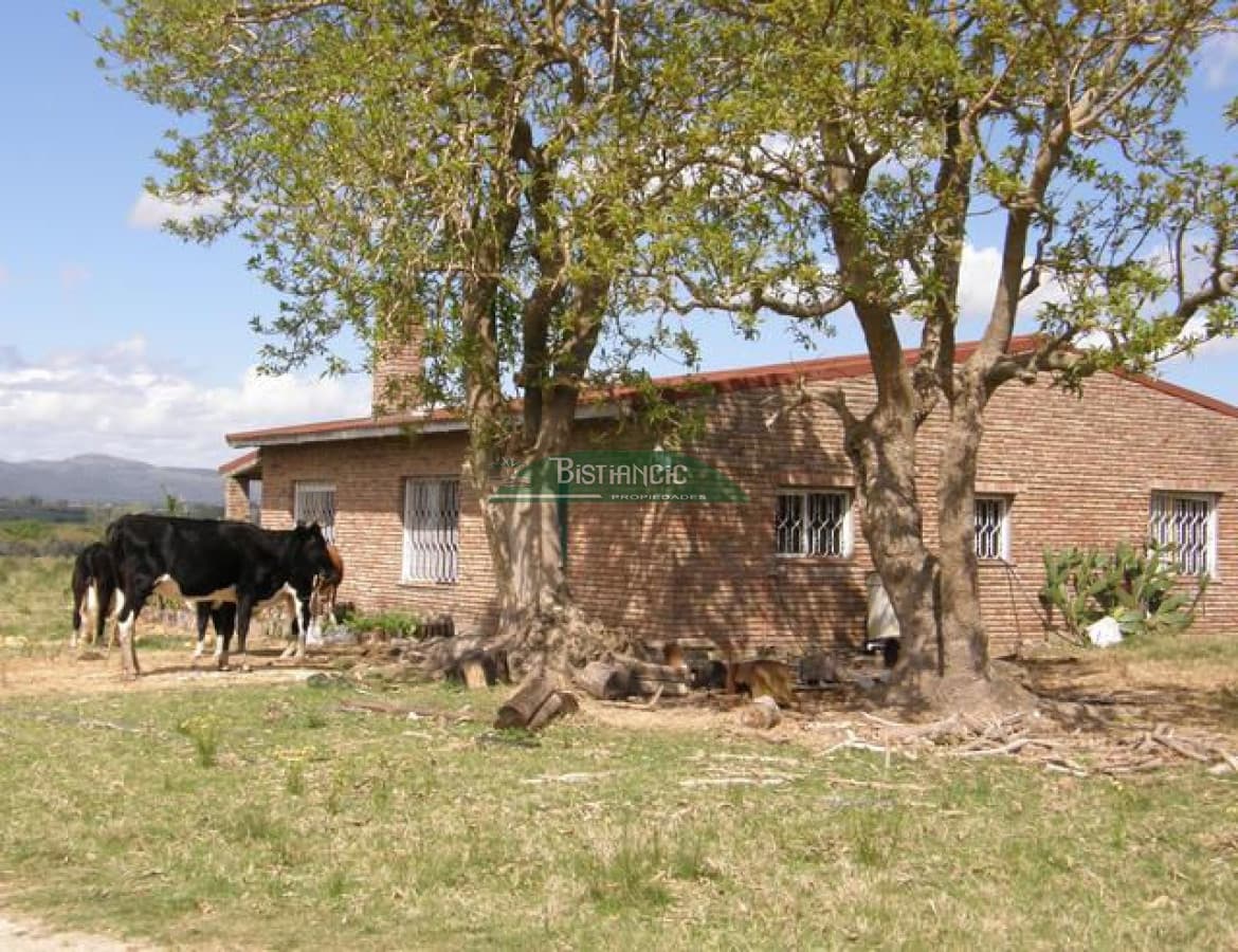 Campo en ,