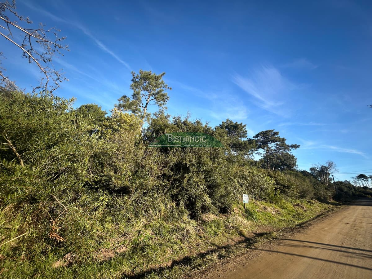 Terrenos en venta en Ocean Park 2060m2