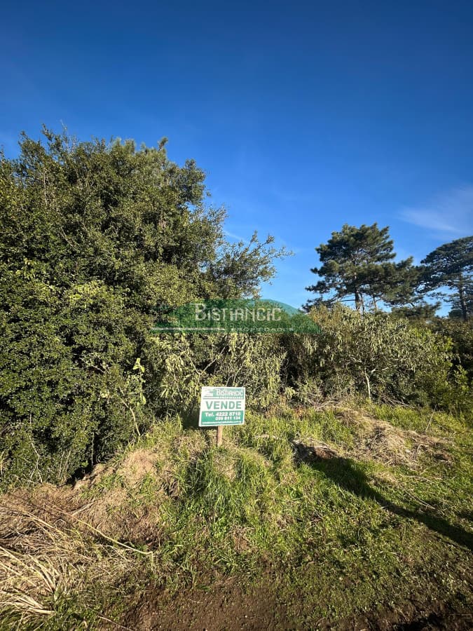 Terrenos en venta en Ocean Park 2060m2