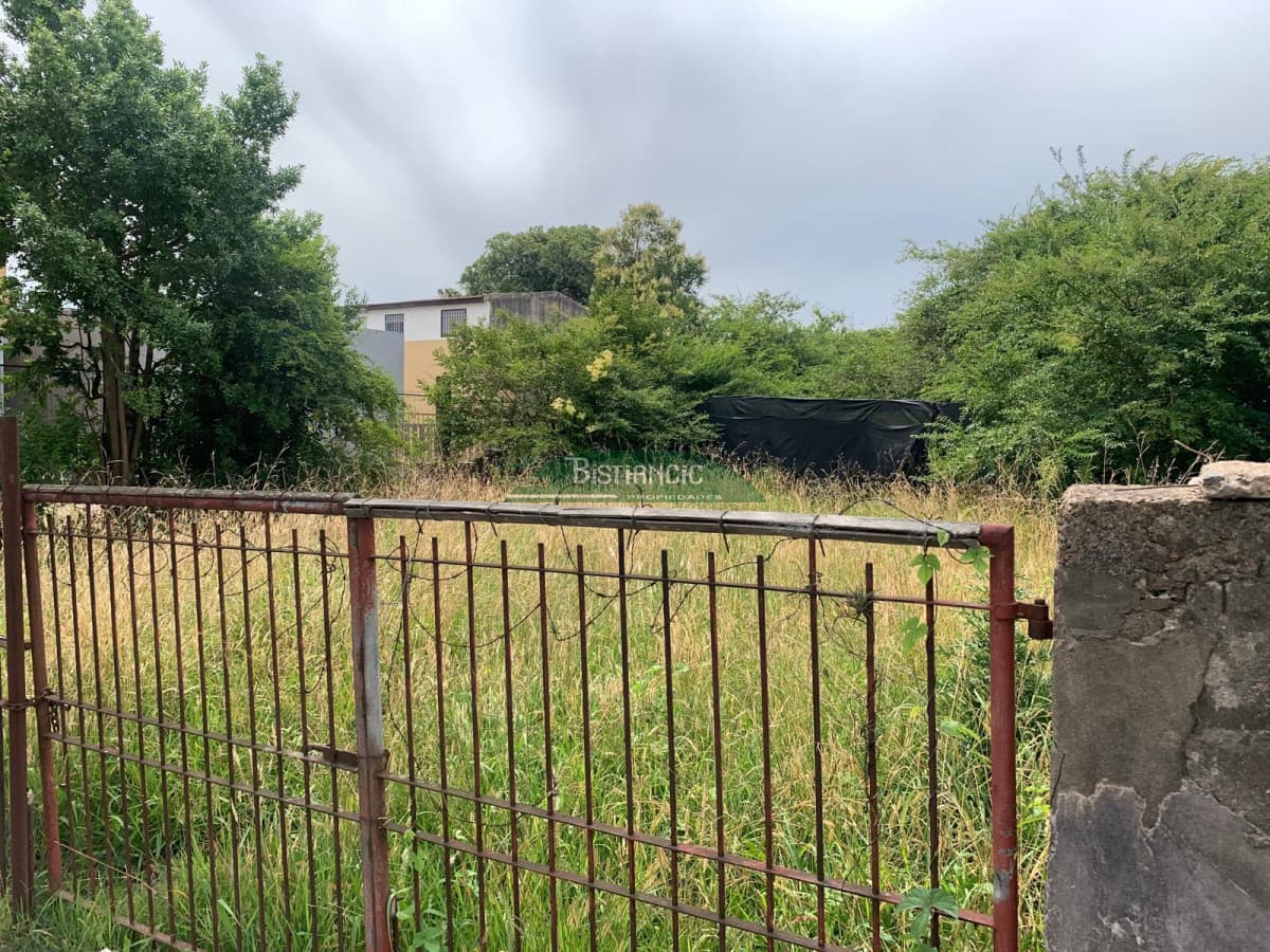 Terreno Maldonado sobre avenida Lavalleja, 382 m2 , ideal locales, comercio, aptos, etc. Venta US$ 120.000.