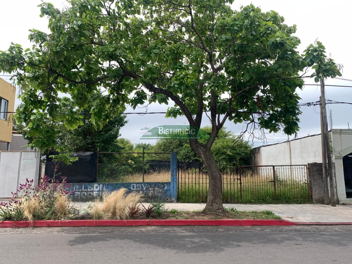 Terreno Maldonado sobre avenida Lavalleja, 382 m2 , ideal locales, comercio, aptos, etc. Venta US$ 120.000.