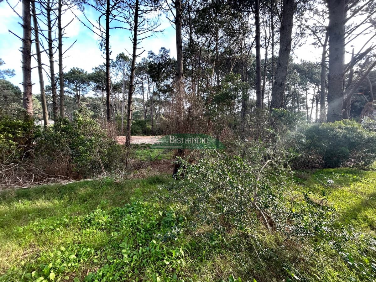 Terreno a pasos de la Laguna, 1766 m2 con vista, en un lugar de bosque con lindo entorno. Venta US$ 140.000.