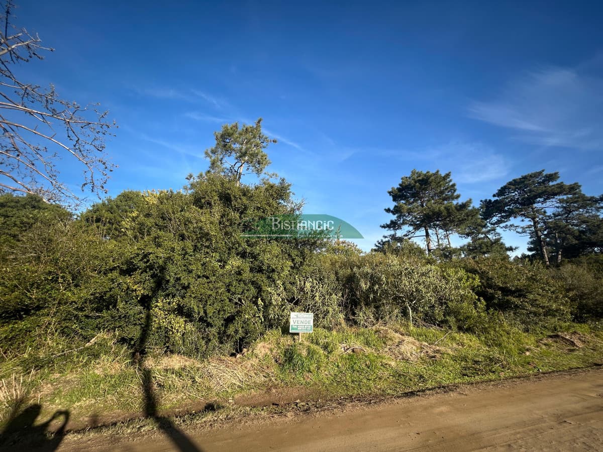 Terrenos en venta en Ocean Park 2060m2