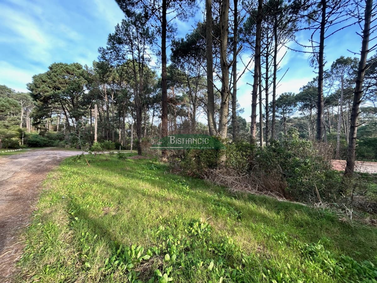 Terreno a pasos de la Laguna, 1766 m2 con vista, en un lugar de bosque con lindo entorno. Venta US$ 140.000.