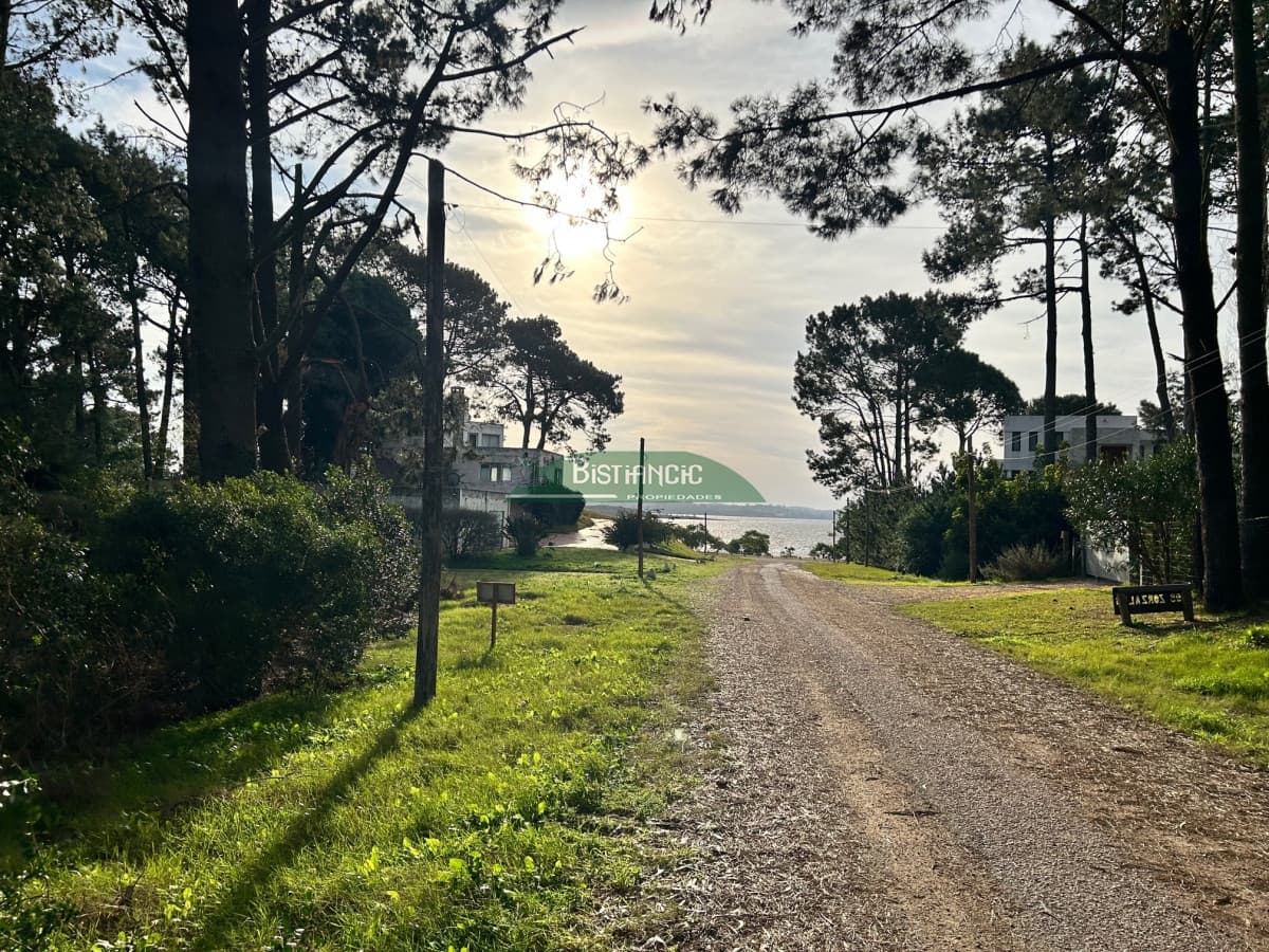 Terreno a pasos de la Laguna, 1766 m2 con vista, en un lugar de bosque con lindo entorno. Venta US$ 140.000.