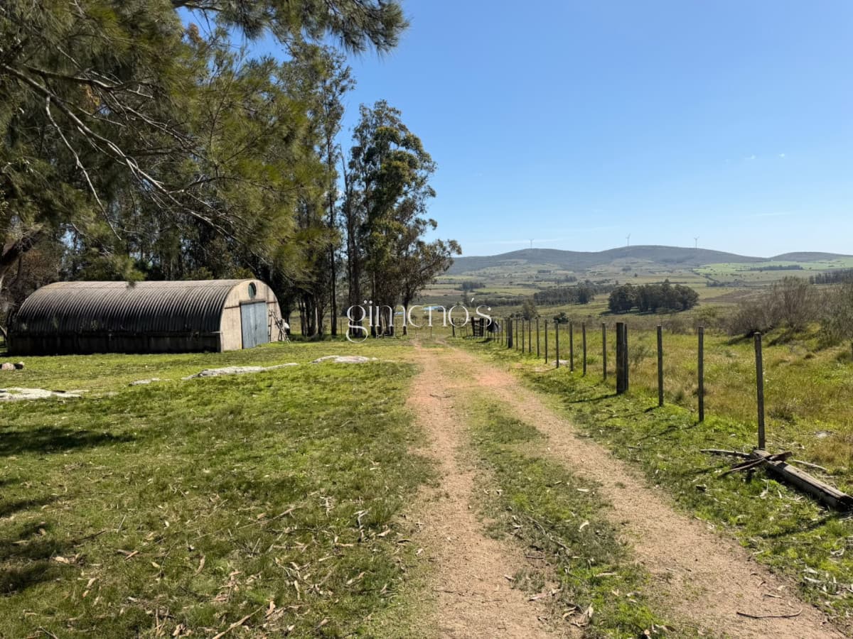 Chacra 7 has en Venta - Ruta 39 - San Carlos