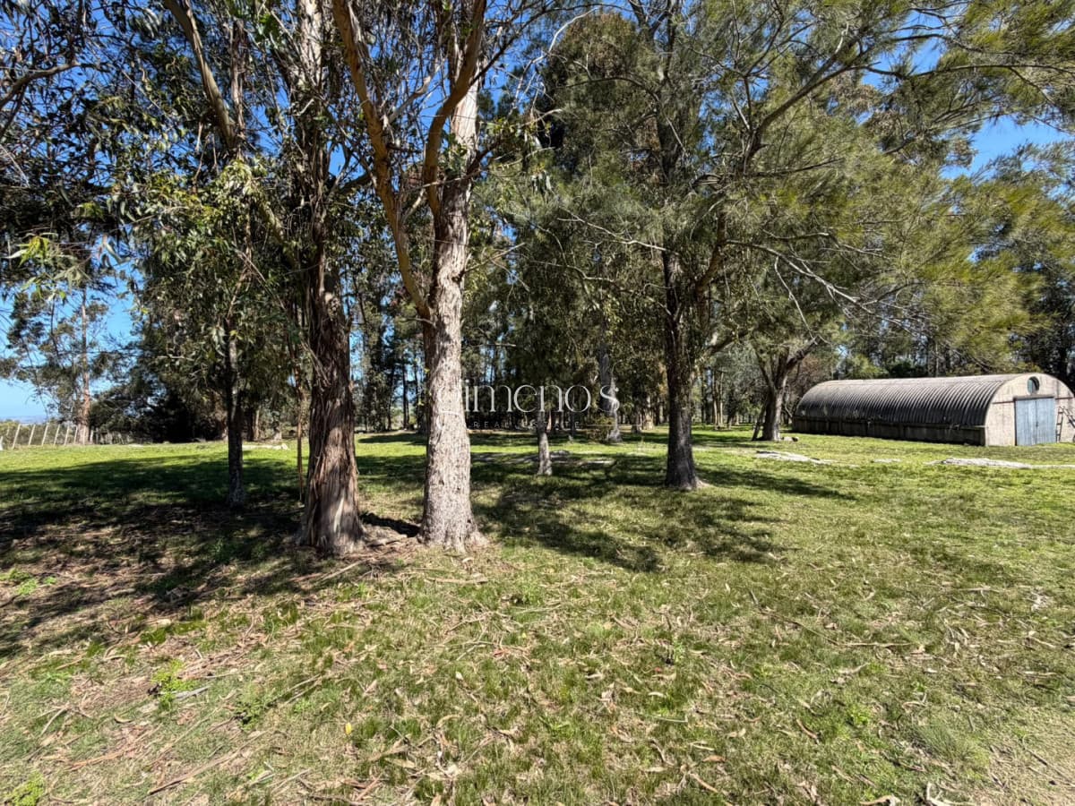 Chacra 7 has en Venta - Ruta 39 - San Carlos