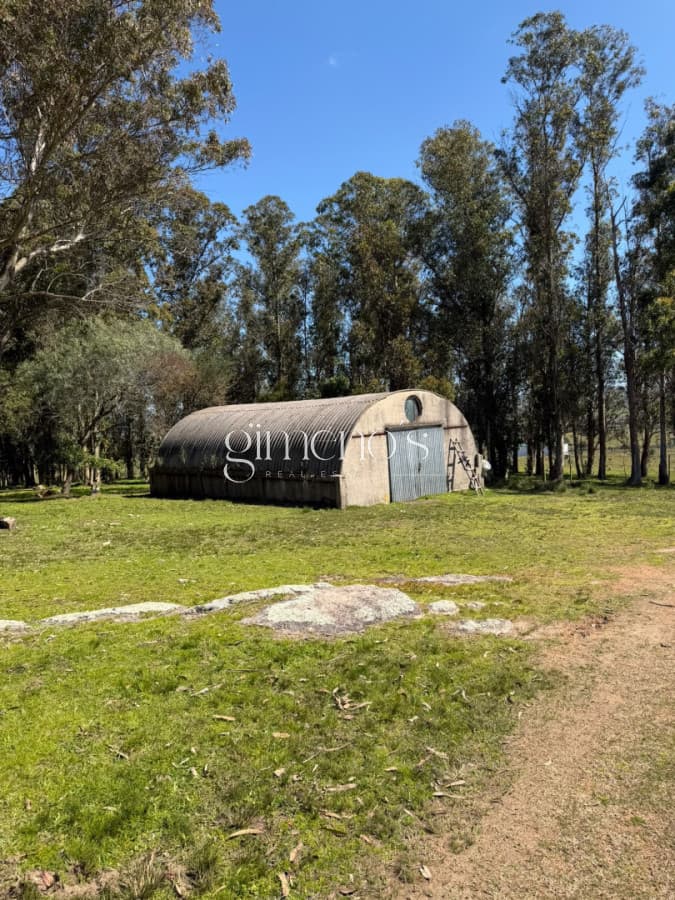 Chacra 7 has en Venta - Ruta 39 - San Carlos