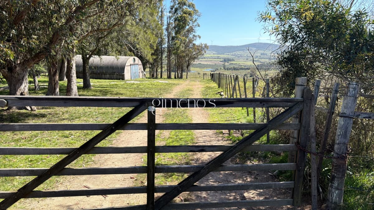 Chacra 7 has en Venta - Ruta 39 - San Carlos
