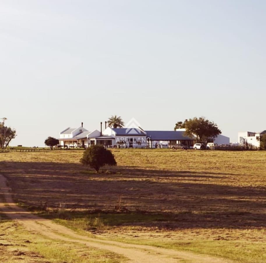 Campo Ref.1546 - Chacra ubicada a 20 minutos de Punta del Este