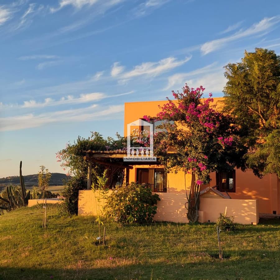 Preciosa y exclusiva chacra de 5 has en venta en Laguna del Sauce con 750 olivos plantados y casa divina con 3 dormitorios mas casa de invitados .