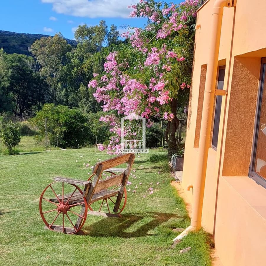 Preciosa y exclusiva chacra de 5 has en venta en Laguna del Sauce con 750 olivos plantados y casa divina con 3 dormitorios mas casa de invitados .