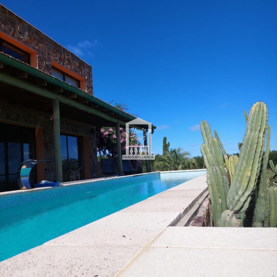 Preciosa y exclusiva chacra de 5 has en venta en Laguna del Sauce con 750 olivos plantados y casa divina con 3 dormitorios mas casa de invitados .