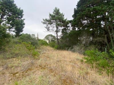 Terreno en Jose Ignacio, Santa Monica