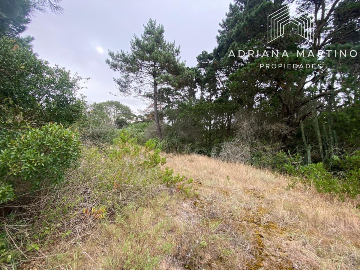 Terrenos en venta en Piedras del chileno, Punta del este