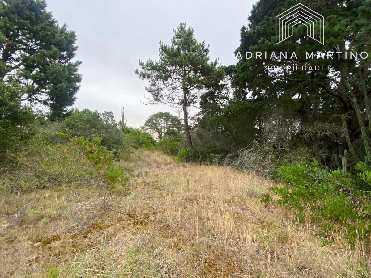 Terrenos en venta en Piedras del chileno, Punta del este