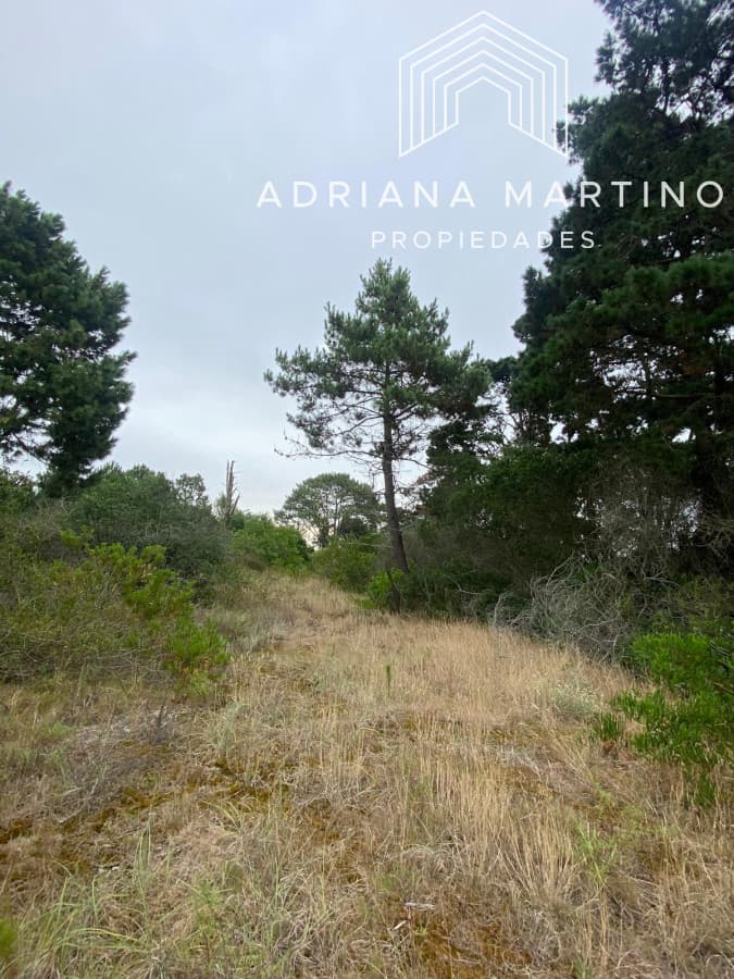Terrenos en venta en Piedras del chileno, Punta del este